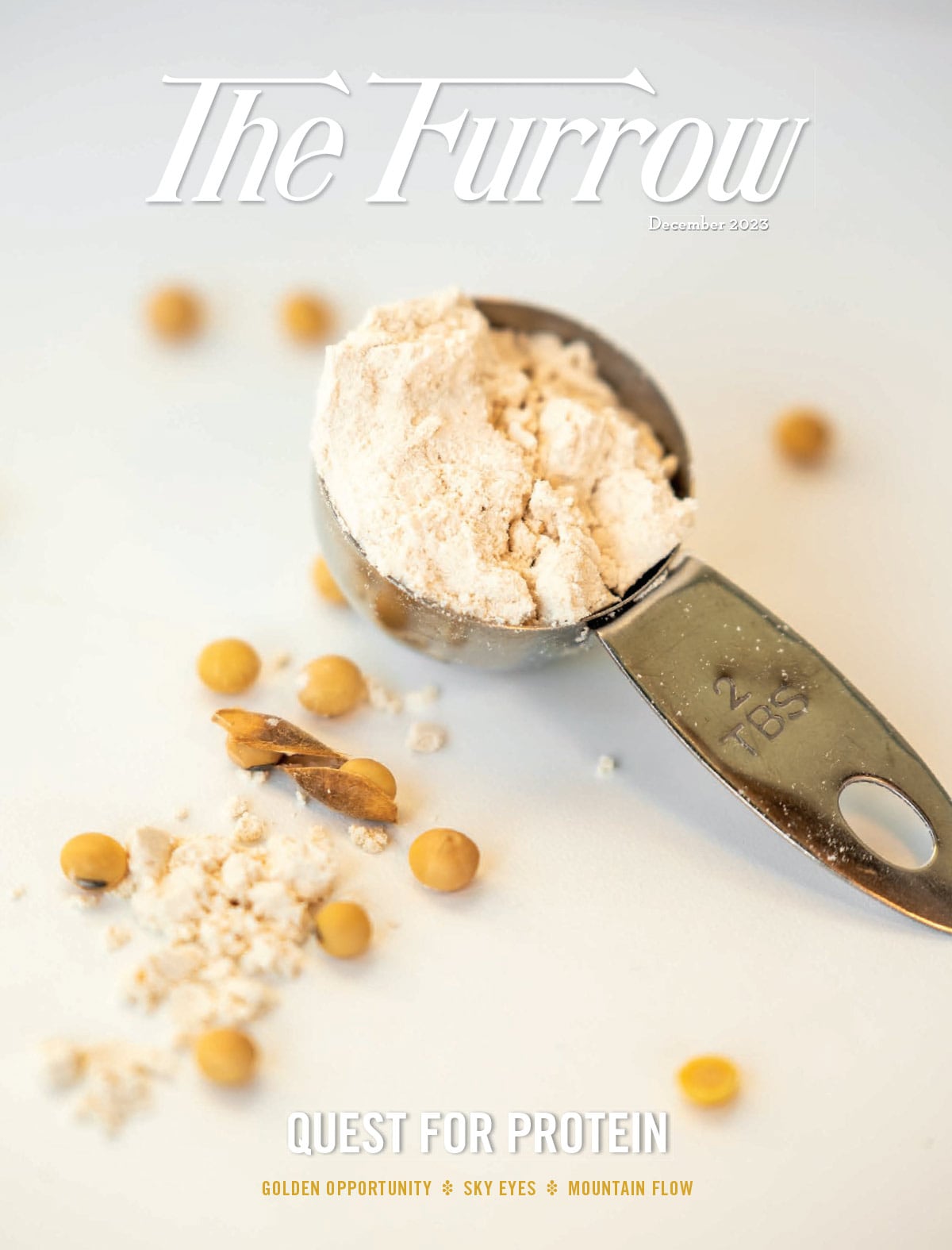 soy flour in a two tablespoon measuring cup with soybeans strewn around on an off white background